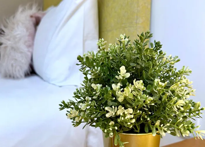 Sounds Of 424 - Bolhao & Tradition Апартаменты