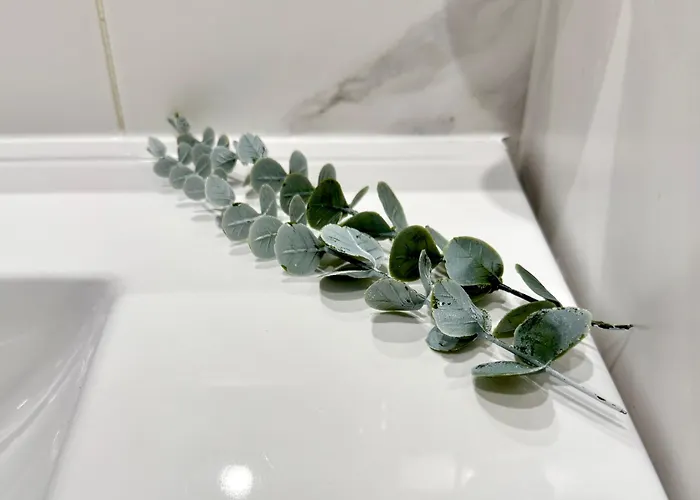 Апартаменты Sounds Of 424 - Bolhao & Tradition *